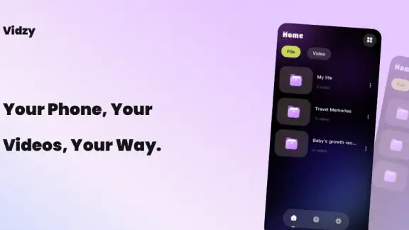 Vidzy-Well Organized