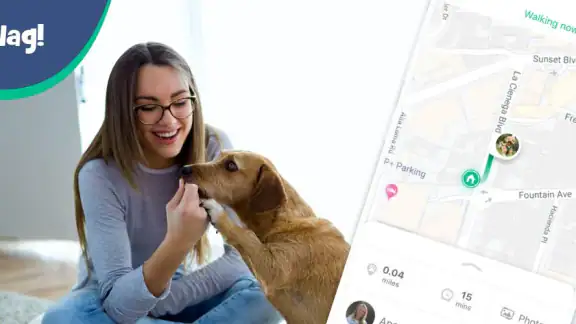 Wag! - Dog Walkers & Sitters