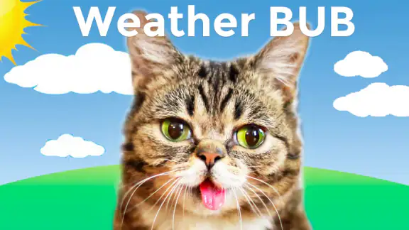 Weather BUB
