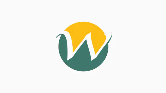 Wodfix Pro