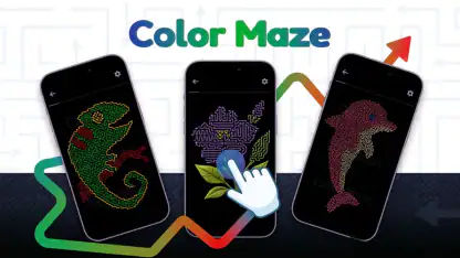 Color Maze