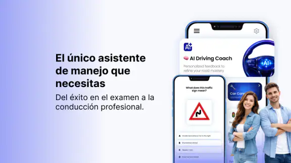 Instructor de Conducción