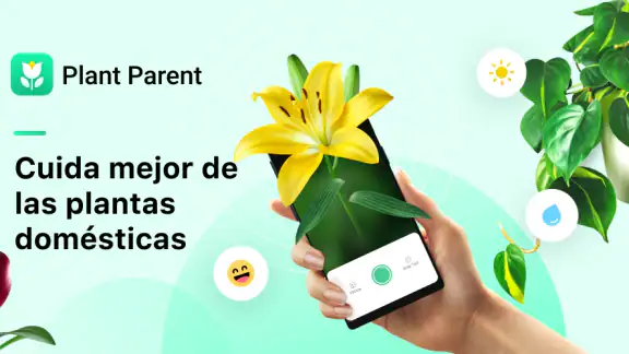 Plant Parent - Guía de cuidado