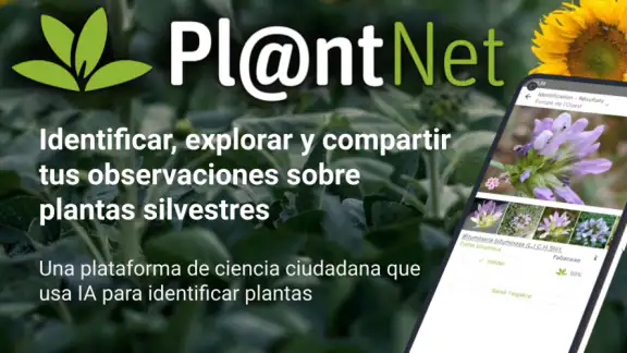 PlantNet Identifica Plantas