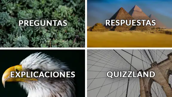 QuizzLand quiz de conocimiento
