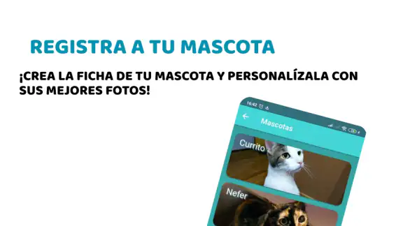 Vet2Go