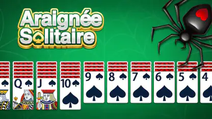Araignée Solitaire