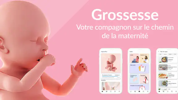 Calendrier de Grossesse