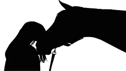Chevaux - Quiz