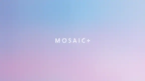 Flou Photo & Effet Mosaïque