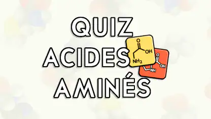 Quiz Acides Aminés