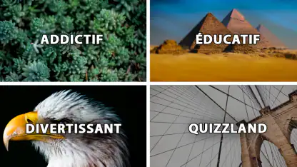 QuizzLand : quiz intelligent