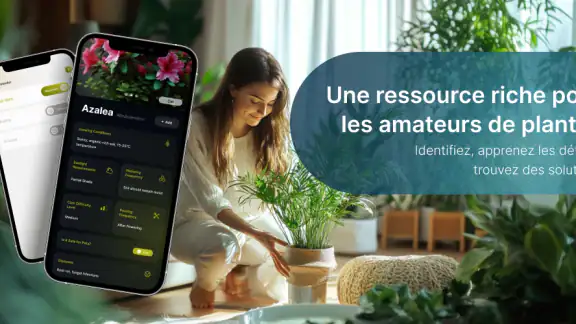 Soins des plantes-Identifiant