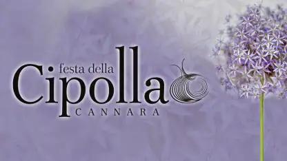 cipollapp