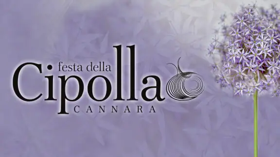 cipollapp