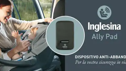 Inglesina Ally Pad
