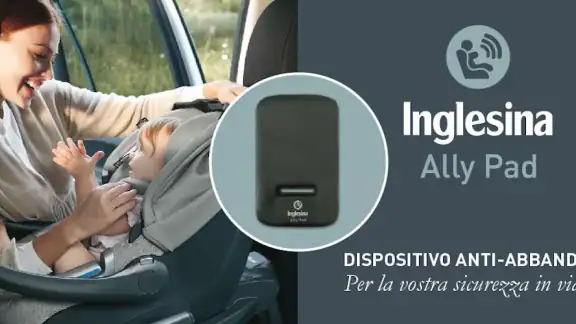 Inglesina Ally Pad