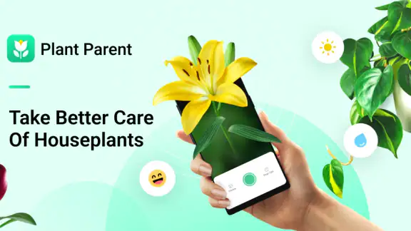 Plant Parent - Guida alla Cura