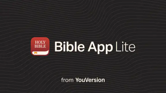 Holy Bible Offline NIV KJV App
