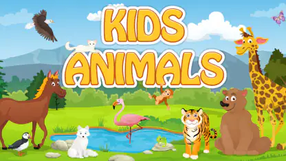 Kids Learn about  Animals