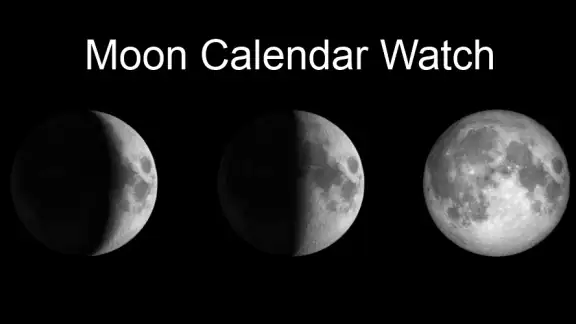 Moon Calendar Watch