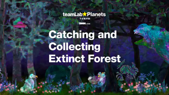PlanetsTokyo/CollectingForest
