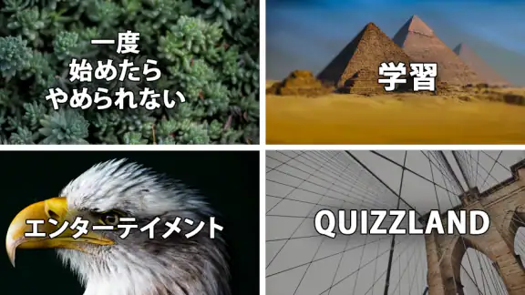QuizzLand:雑学クイズでトリビアに挑戦しよう