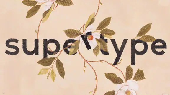 supertype