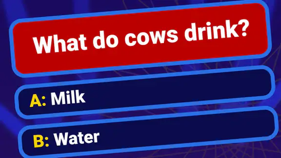 Trivia Quiz 2026: Fun IQ Games