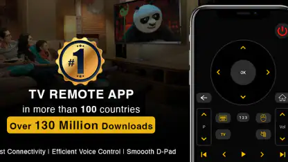 Universal TV Remote Control