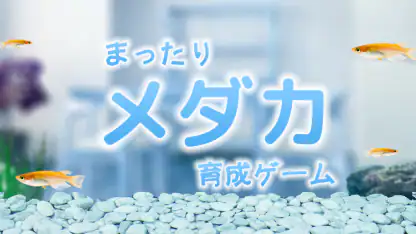 まったりメダカ育成ゲーム