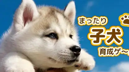 子犬のかわいい育成ゲーム - 癒しの犬育成アプリ