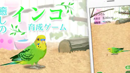 癒しのインコ育成ゲーム