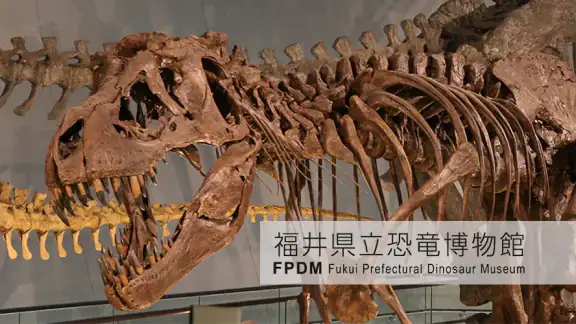 福井県立恐竜博物館 展示解説アプリ