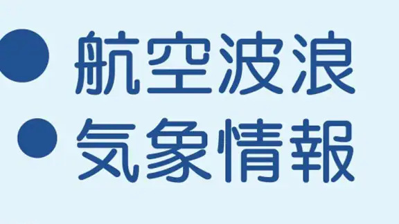 航空波浪気象情報