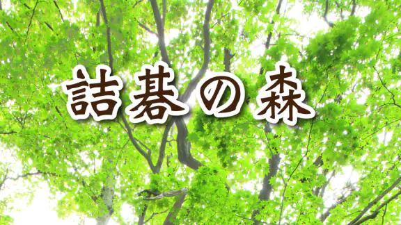 詰碁の森 - 入門からプロまで遊べる囲碁アプリ