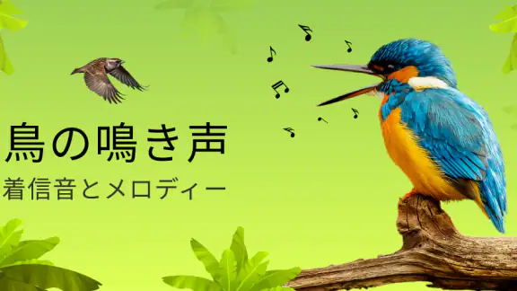 鳥の鳴き声