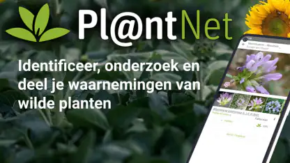Pl@ntNet plantenidentificatie