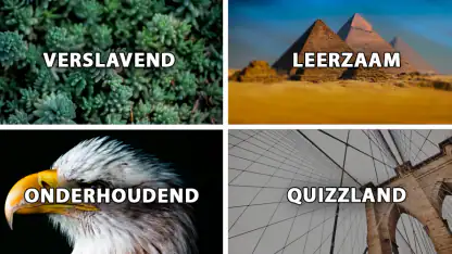 QuizzLand: Quiz en Trivia spel