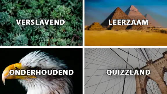 QuizzLand: Quiz en Trivia spel