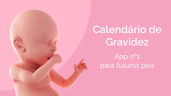 Calendário de Gravidez