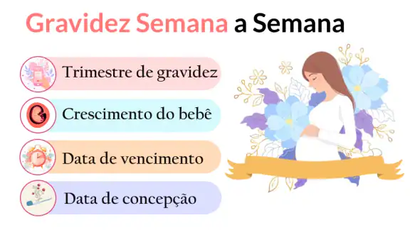 Gravidez + App Semana a Semana