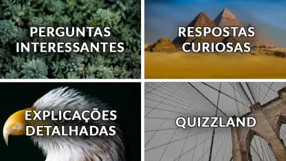 QuizzLand: Quiz Jogo de Trivia