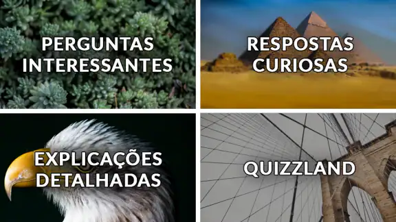 QuizzLand: Quiz Jogo de Trivia