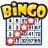 Bingo Drive: Fun Bingo Games icon