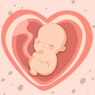 HiMommy: Pregnancy Tracker icon