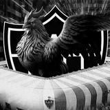Super App do Galo icon