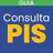 Consulta PIS PASEP: GUIA icon