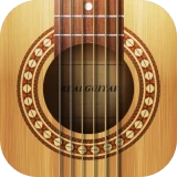 Real Guitar: acoustic electric