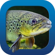 Heintges Angelschein Trainer icon